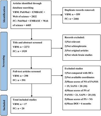 Altered brain functional networks in schizophrenia with persistent negative symptoms: an activation likelihood estimation meta-analysis